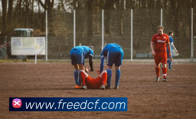 超凡国际平台生态图